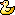 :ducky: